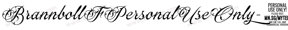 BrannbollFPersonalUseOnly-8wvz字体转换