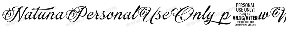 NatunaPersonalUseOnly-p7wWD字体转换