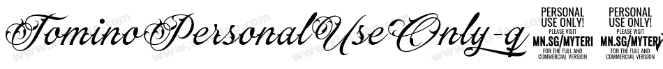 TominoPersonalUseOnly-q53x字体转换