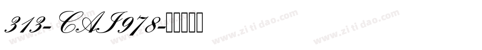 313-CAI978字体转换