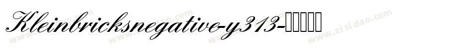 Kleinbricksnegative-y313字体转换