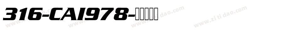 316-CAI978字体转换