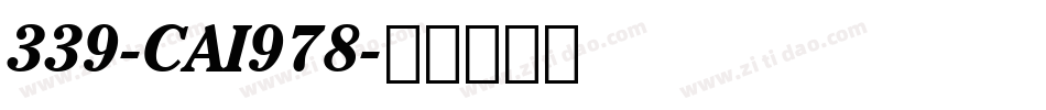 339-CAI978字体转换