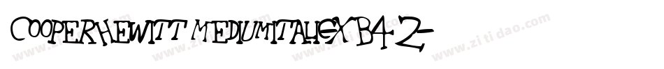 CooperhewittMediumitalic-XB42字体转换