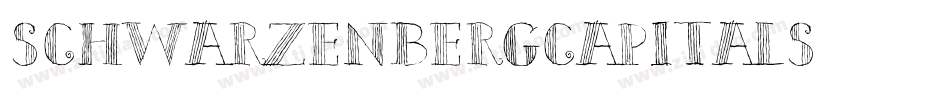 SchwarzenbergCapitals字体转换