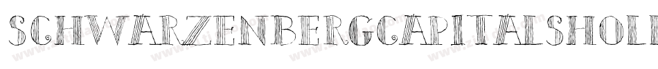 SchwarzenbergCapitalsHollow字体转换