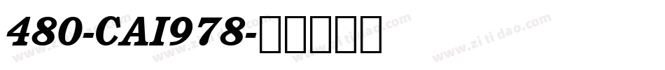 480-CAI978字体转换