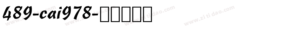 489-cai978字体转换