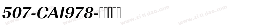 507-CAI978字体转换