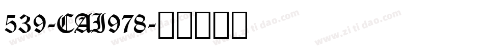 539-CAI978字体转换