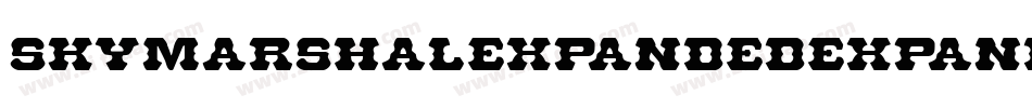 SkyMarshalExpandedExpanded-XpZP字体转换 SkyMarshalExpandedExpanded-XpZP字体转换