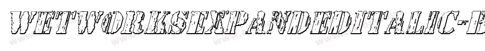 WetworksExpandedItalic-BMEG字体转换 WetworksExpandedItalic-BMEG字体转换