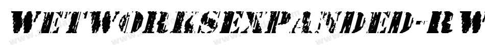 WetworksExpanded-RW6v字体转换 WetworksExpanded-RW6v字体转换