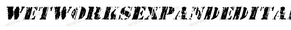 WetworksExpandedItalic-BMEG字体转换 WetworksExpandedItalic-BMEG字体转换