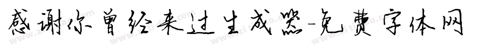 感谢你曾经来过生成器字体转换