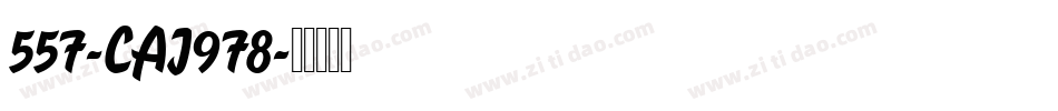 557-CAI978字体转换