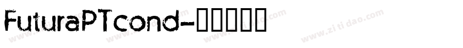 FuturaPTcond字体转换
