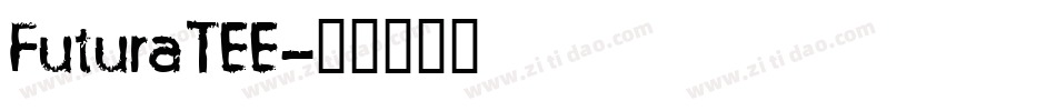 FuturaTEE字体转换