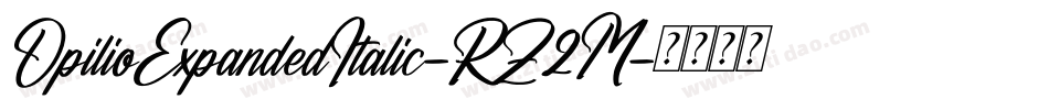 OpilioExpandedItalic-RZ2M字体转换 OpilioExpandedItalic-RZ2M字体转换