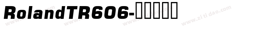 RolandTR606字体转换