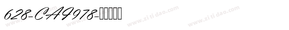 628-CAI978字体转换
