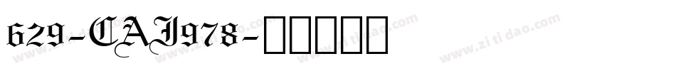 629-CAI978字体转换
