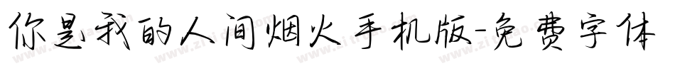 你是我的人间烟火手机版字体转换