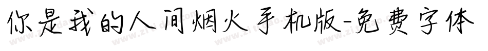 你是我的人间烟火手机版字体转换
