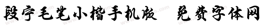 段宁毛笔小楷手机版字体转换