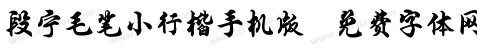 段宁毛笔小行楷手机版字体转换