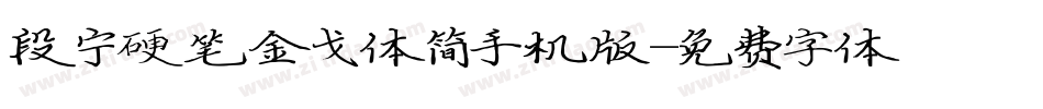 段宁硬笔金戈体简手机版字体转换