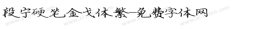 段宁硬笔金戈体繁字体转换