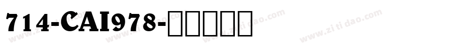 714-CAI978字体转换