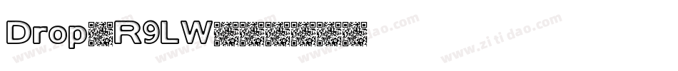 Drop-R9LW字体转换