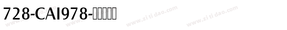 728-CAI978字体转换