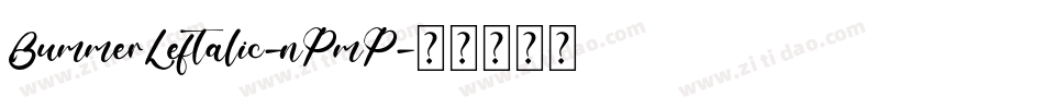 BummerLeftalic-nPmP字体转换