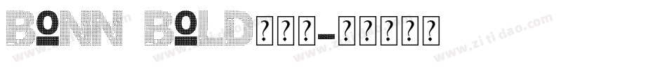 bonn_bold生成器字体转换