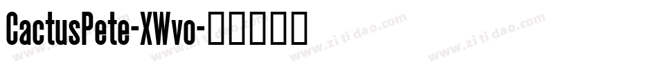 CactusPete-XWvo字体转换