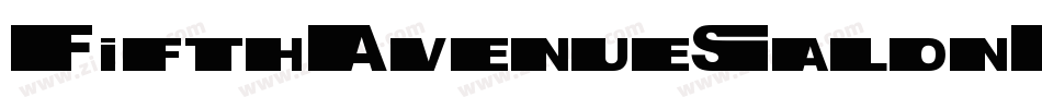 FifthAvenueSalonNF字体转换