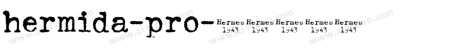 hermida-pro字体转换