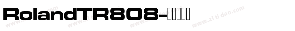 RolandTR808字体转换