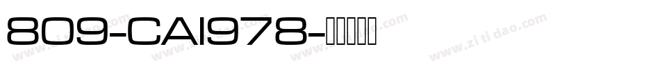 809-CAI978字体转换