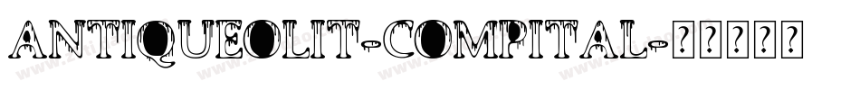 AntiqueOliT-CompItal字体转换