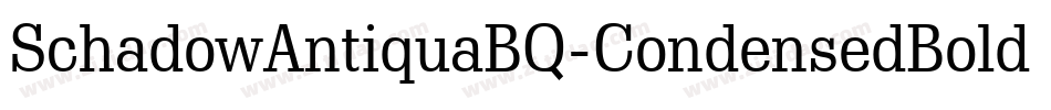 SchadowAntiquaBQ-CondensedBold字体转换