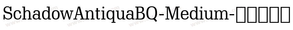 SchadowAntiquaBQ-Medium字体转换