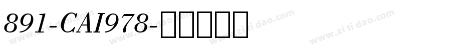 891-CAI978字体转换