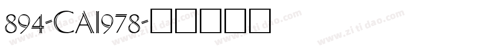 894-CAI978字体转换