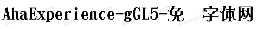 AhaExperience-gGL5字体转换