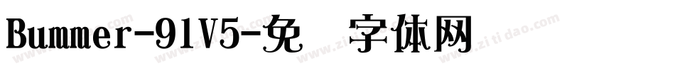Bummer-9lV5字体转换