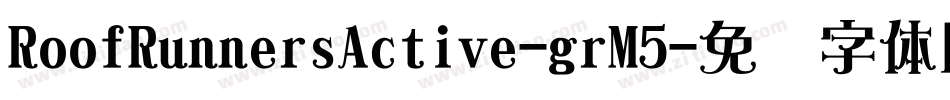 RoofRunnersActive-grM5字体转换